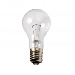 ИСКРА Лампа б 230-60-11 Е27 мат