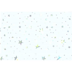 RIKO Панель ПВХ RL 3032 "Звездное небо" 8х250х3000мм