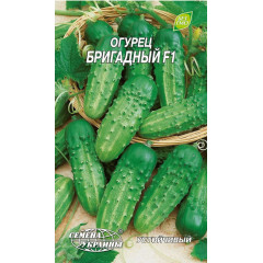НАСІННЯ УКРАЇНИ Огірок БРИГАДНИЙ F1 0.5