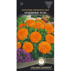 GG Насіння Квіти Чорнобривці Оранжеве диво 0.3г Будмен